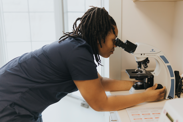 veterinary services  Berkley, MI 